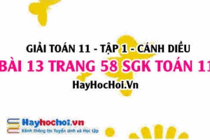 Giải bài 13 trang 58 Toán 11 tập 1 SGK Cánh Diều